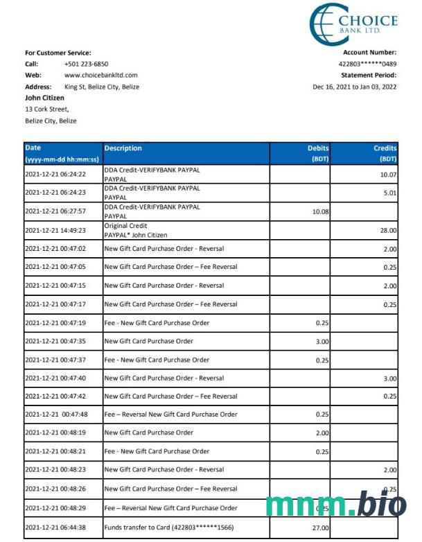 Szablon wyciągu bankowego belizebank w programie Word i PDF